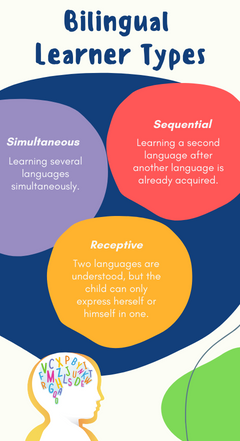 Bilingual Learner Types